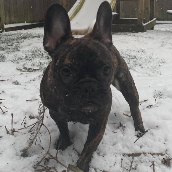 Meet your Posher, Linda - Picture 1 of 1